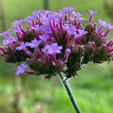 Buitenhuis 't Beekdal