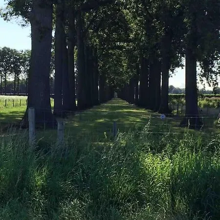 Buitenhuis 't Beekdal * Rijsbergen