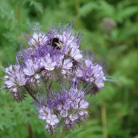 Vakantiehuis Buitenhuis 't Beekdal Rijsbergen