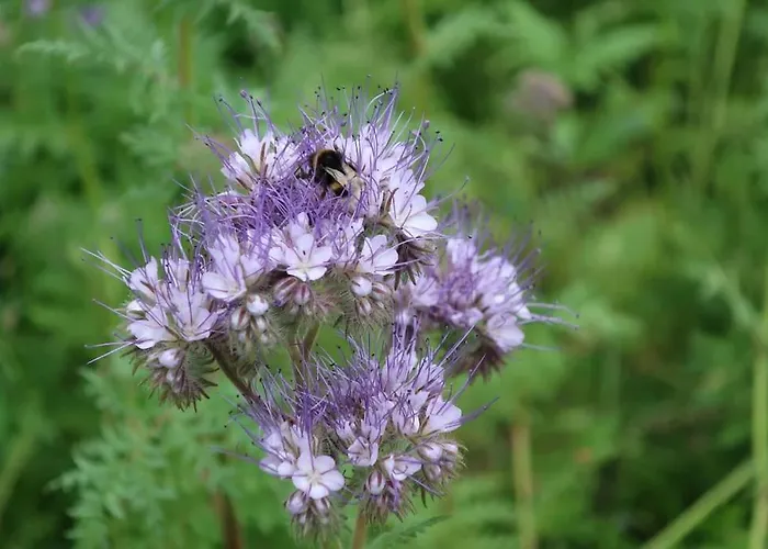 Σπίτι διακοπών Buitenhuis 't Beekdal Rijsbergen