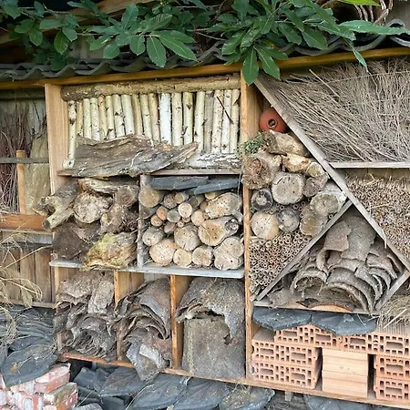 Ferienhaus Buitenhuis 't Beekdal