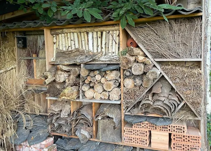 Ferienhaus Buitenhuis 't Beekdal