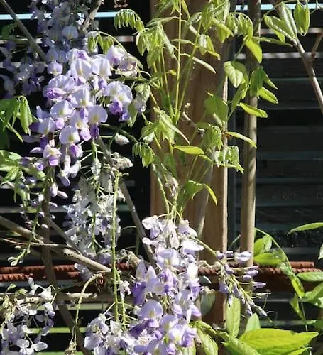 Buitenhuis 't Beekdal * Rijsbergen