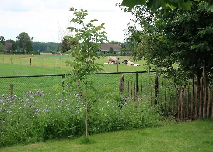 Buitenhuis 't Beekdal *