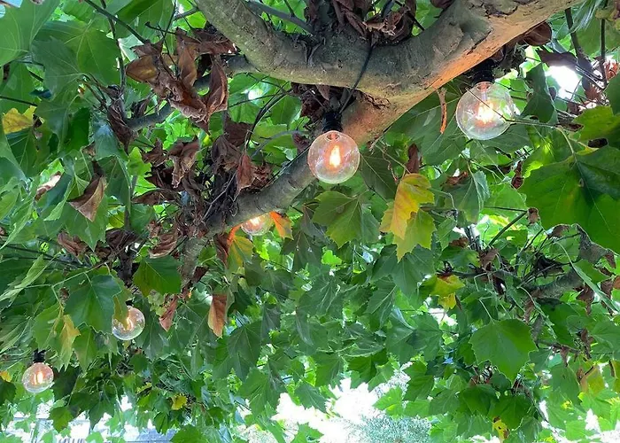 Ferienhaus Buitenhuis 't Beekdal *