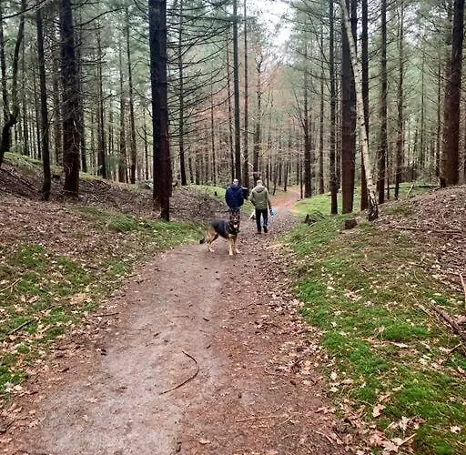 Дом отдыха Buitenhuis 't Beekdal Rijsbergen