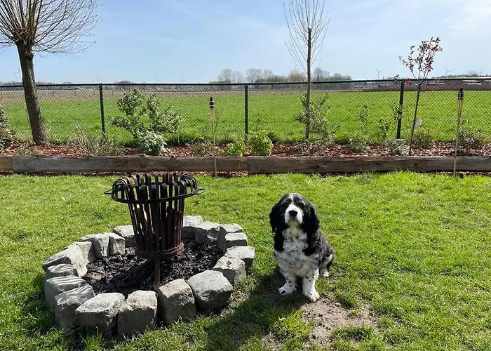 Ferienhaus Buitenhuis 't Beekdal Rijsbergen