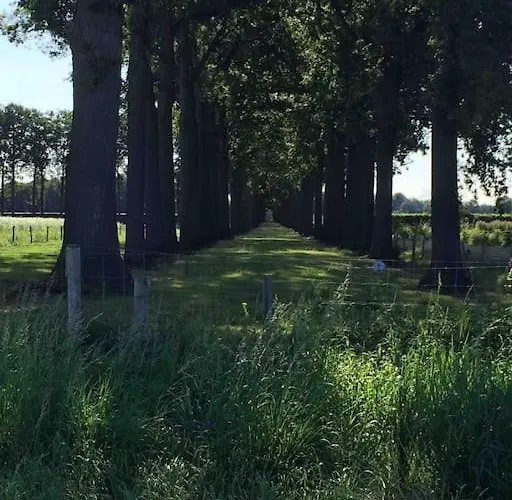 Buitenhuis 't Beekdal * Rijsbergen