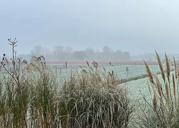 Buitenhuis 't Beekdal Дом отдыха Rijsbergen