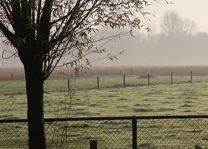 Buitenhuis 't Beekdal Ferienhaus